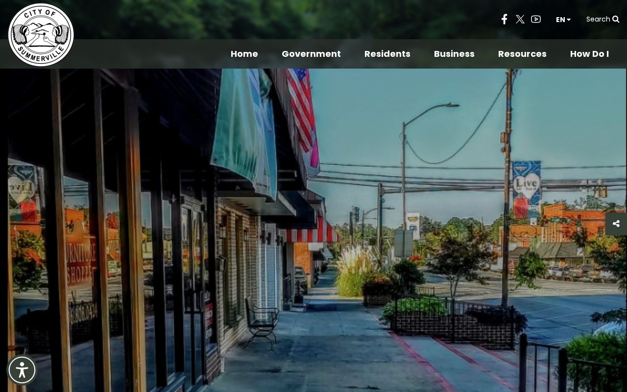 Summerville city government criminal records information